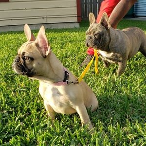 Meet your Posher, Rachael